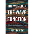 The World in the Wave Function: A Metaphysics for Quantum Physics - Hardcover