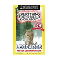 Everything You Should Know About: Leopards Faster Learning Facts - Paperback
