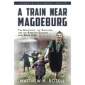 A Train near Magdeburg (the Young Adult Adaptation): The Holocaust, the Survivors, and the American Soldiers Who Saved Them - Paperback