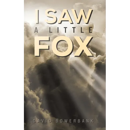 I Saw a Little Fox - Hardcover
