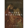 Divine Rejection: Explorations in the Biblical Portrayals of Esau and King Saul - Hardcover