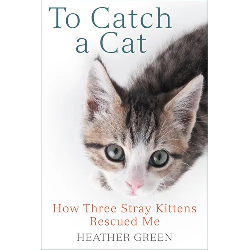 To Catch a Cat: How Three Stray Kittens Rescued Me - Paperback