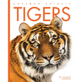 Tigers - Paperback
