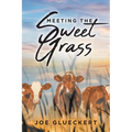 Meeting the Sweet Grass - Paperback