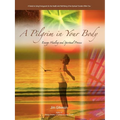 A Pilgrim in Your Body: Energy Healing and Spiritual Process - Paperback