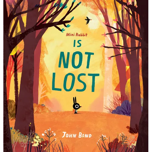 Mini Rabbit Is Not Lost - Hardcover