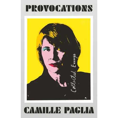 Provocations: Collected Essays on Art, Feminism, Politics, Sex, and Education - Paperback