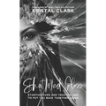 Shattered Glass: Starting Over And Trusting God To Put You Back Together Again - Paperback