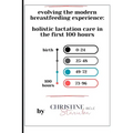 Evolving the Modern Breastfeeding Experience: Holistic Lactation Care in the First 100 Hours - Paperback