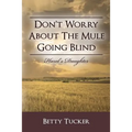 Don't Worry About The Mule Going Blind: Hazel's Daughter - Paperback