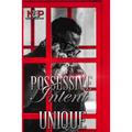 Possessive Intent: A North Brooke Port Novel - Paperback