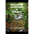 The Amazing Adventures of Two Boys: Bed Time Stories for Children - Paperback