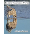 Charting Yellowstone Wolves - Paperback