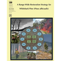 A Range-Wide Restoration Strategy for Whitebark Pine (Pinus Albicaulis) - Paperback