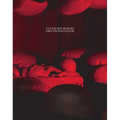 Louise Bourgeois, Freud's Daughter - Hardcover