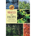 Miracles of HOPE: Valerie's Journey - Paperback