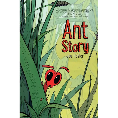 Ant Story: A Graphic Novel - Paperback