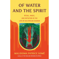 Of Water and the Spirit: Ritual, Magic, and Initiation in the Life of an African Shaman - Paperback