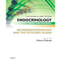 Endocrinology Adult and Pediatric: Neuroendocrinology and the Pituitary Gland - Paperback
