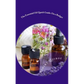 The Essential Oil Quick Guide: On a Budget - Paperback