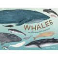 Whales: An Illustrated Celebration - Hardcover