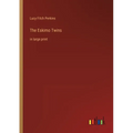 The Eskimo Twins: in large print - Paperback