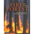 Fire in the Forest - Hardcover