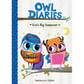 Eva's Big Sleepover: #9 - Library Binding
