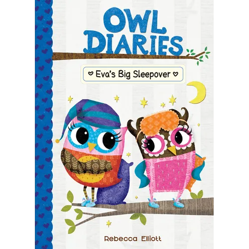 Eva's Big Sleepover: #9 - Library Binding