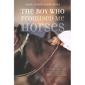 The Boy Who Promised Me Horses - Paperback