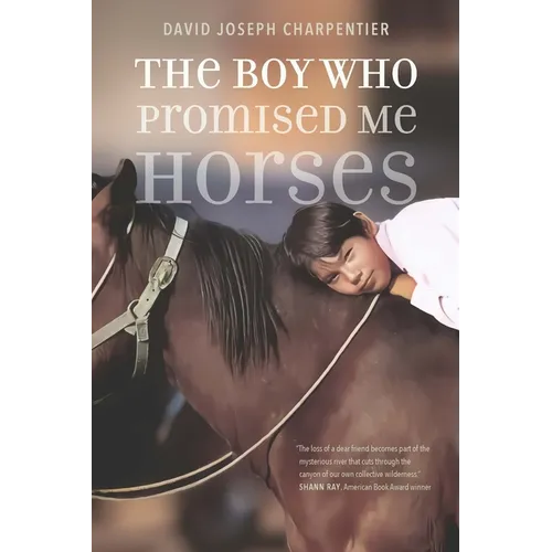 The Boy Who Promised Me Horses - Paperback