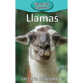Llamas - Hardcover