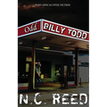 Odd Billy Todd - Paperback