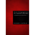 Seven Congregations in a Roman Crucible - Hardcover
