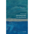 Geometry: A Very Short Introduction - Paperback
