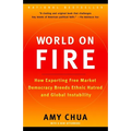 World on Fire: How Exporting Free Market Democracy Breeds Ethnic Hatred and Global Instability - Paperback