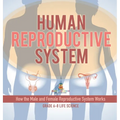 Human Reproductive System How the Male and Female Reproductive System Works Grade 6-8 Life Science - Hardcover