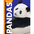 Curious about Pandas - Paperback
