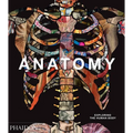 Anatomy: Exploring the Human Body - Hardcover