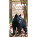 Alabama Wildlife: A Folding Pocket Guide to Familiar Animals - Paperback