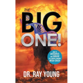 The Big One!: How to Anticipate and Survive the Coming Economic Mega-Crash - Paperback