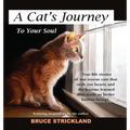 A Cat's Journey To Your Soul - Hardcover