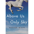 Above Us Only Sky: Essays - Paperback