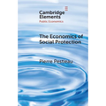 The Economics of Social Protection - Paperback