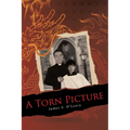 A Torn Picture - Paperback