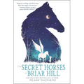 The Secret Horses of Briar Hill - Paperback