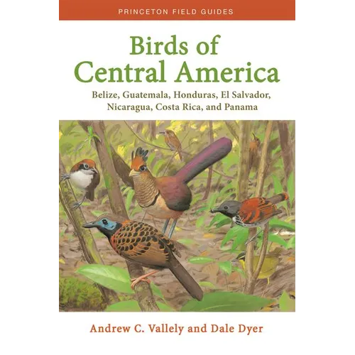 Birds of Central America: Belize, Guatemala, Honduras, El Salvador, Nicaragua, Costa Rica, and Panama - Paperback