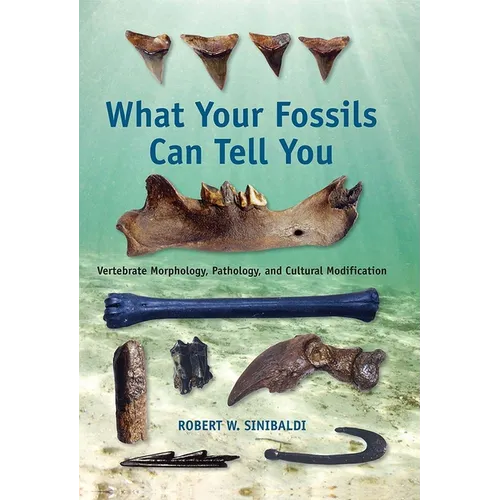 What Your Fossils Can Tell You: Vertebrate Morphology, Pathology, and Cultural Modification - Paperback