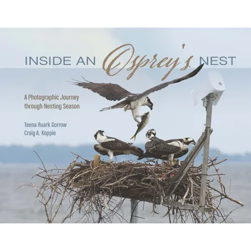 Inside an Osprey's Nest: A Photographic Journey Through Nesting Season - Hardcover