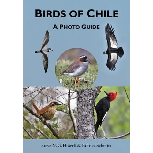 Birds of Chile: A Photo Guide - Paperback